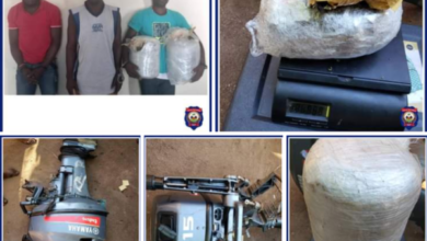 Opération policière dans le sud, 3 personnes arrêtées dont un ressortissant Jamaïcain et dix kilogrammes de pailles sèches assimilées à de la Marijuana saisies