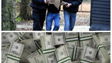 Comment les bandits armés dépensent l'argent sale du kidnapping ? le spécialiste en sécurité publique Réginald Delva fait des révélations