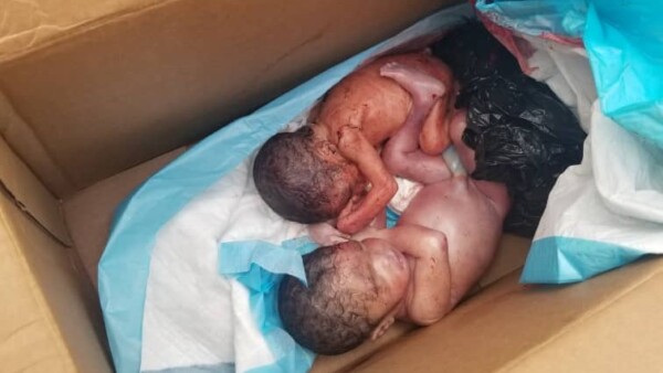 Deux bébés dont l'un est mort, ont été abandonnés à l'Arcahaie