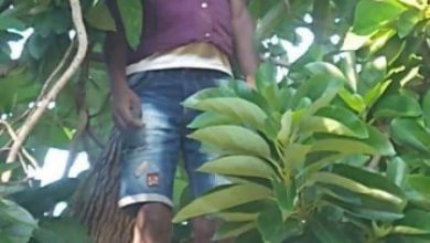 Haïti-Drame :un jeune homme découvert pendu à Saut-d’Eau
