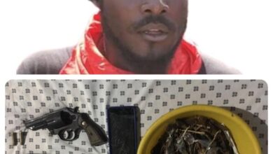 PNH-Opération : Un chef de gang stoppé, six présumés bandits interpellés, une arme et une quantité de marijuana confisquées