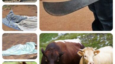 Vol de bétails :4 membres de la base Gran Grif exécutés par des membres de la population en colère