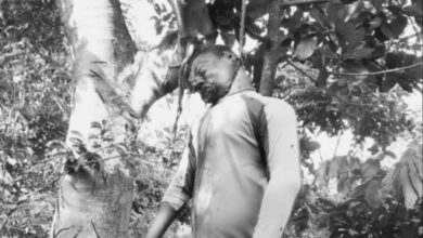Haïti/Drame : un jeune garçon retrouvé pendu à un arbre