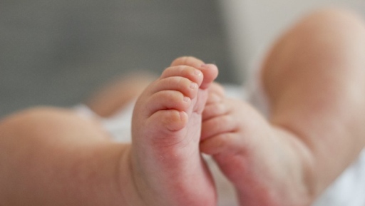 Drame à Gressier: un bébé retrouvé près du cadavre d’une femme en putréfaction